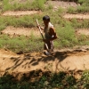 20070810-sheklau-13.jpg